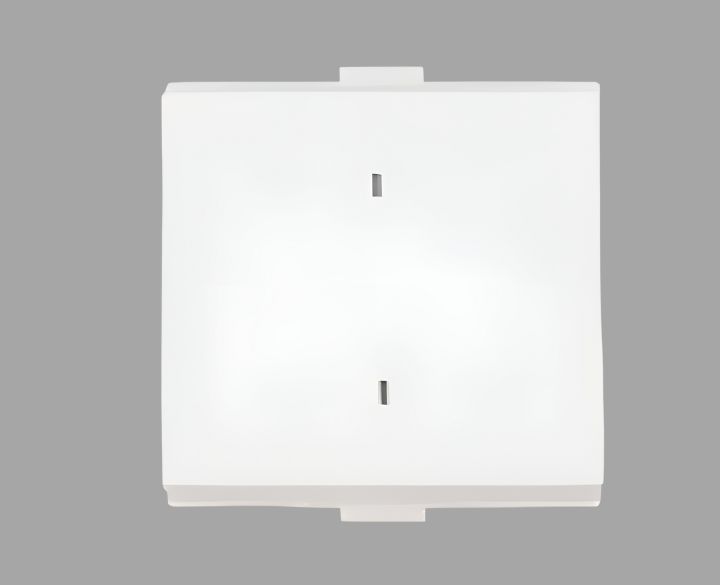 16A 2 Way Mega Switch